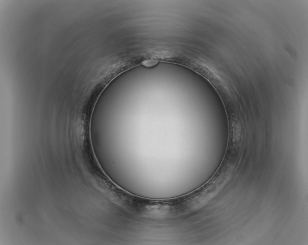 X0000112860362200908281609