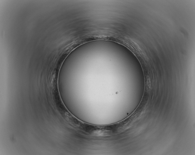 X0000112860364200908281609