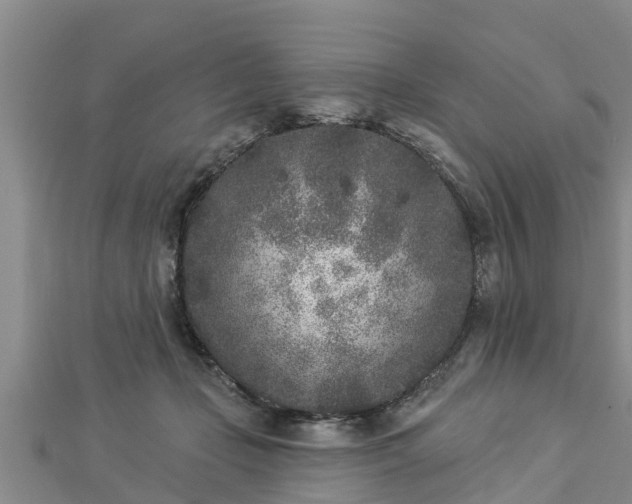 X0000112860365200908281609