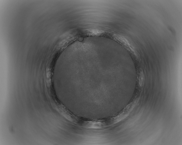 X0000112860366200908281609