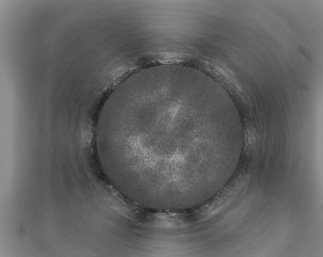 X0000112860367200908281609