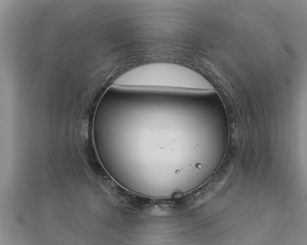 X0000112860368200908281609