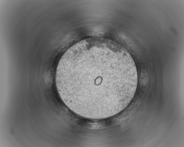 X0000112860370200908281609