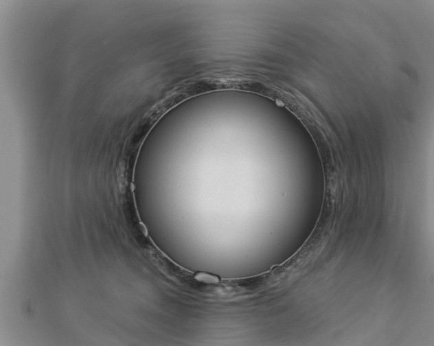X0000112860372200908281609