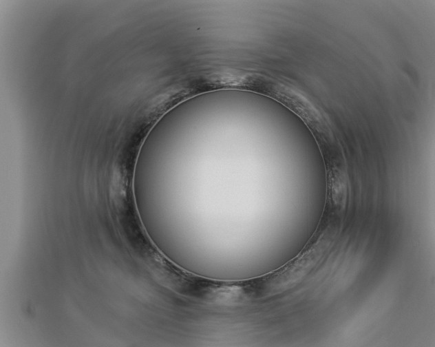 X0000112860374200908281609