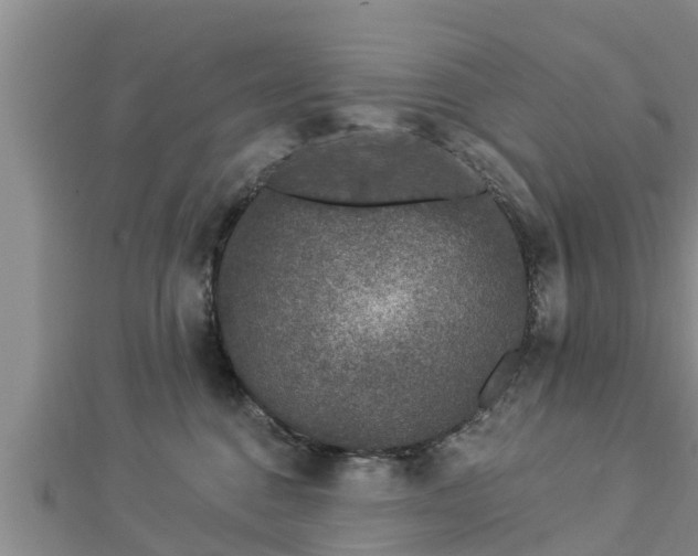 X0000112860376200908281609