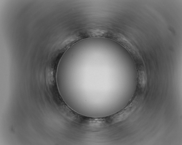 X0000112860378200908281609