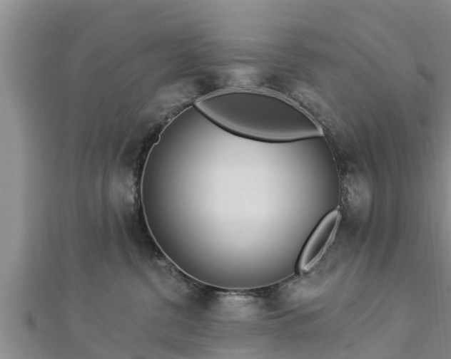X0000112860380200908281609