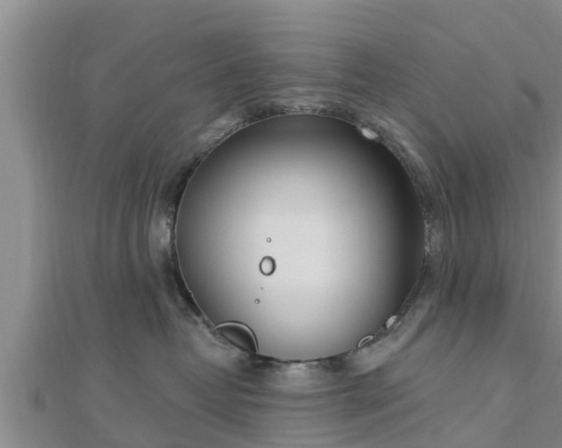 X0000112860382200908281609