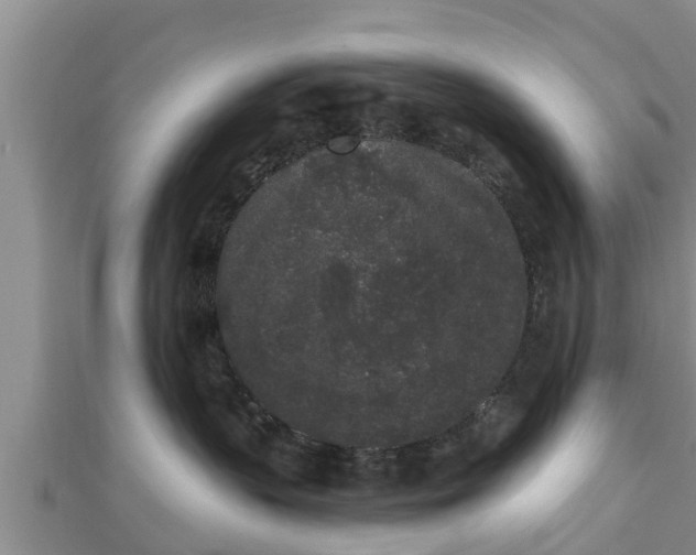 X0000112860383200908281609