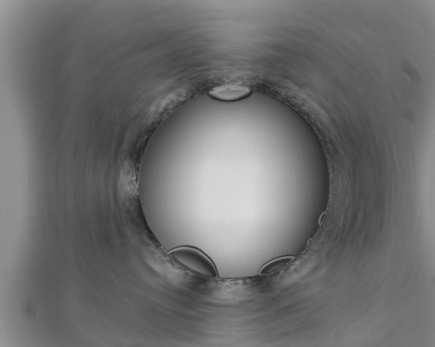 X0000112860384200908281609