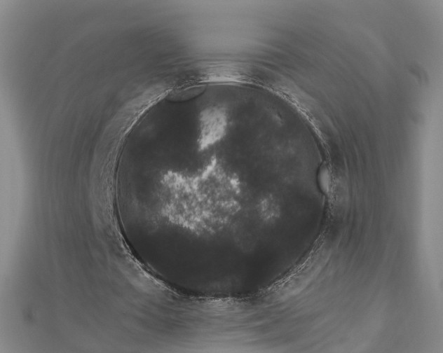X0000112860385200908281608