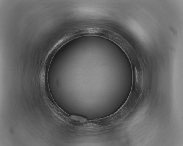 X0000112860387200908281608