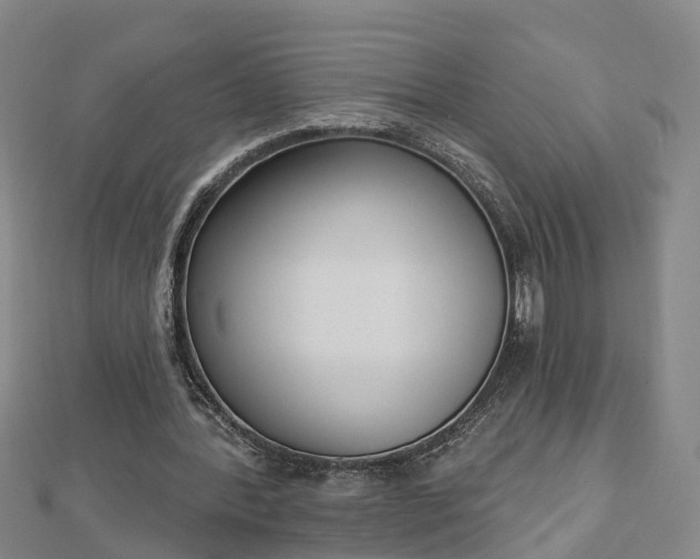 X0000112860388200908281608