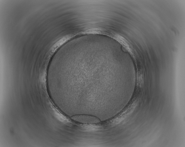 X0000112860389200908281608