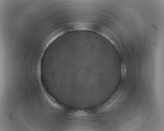 X0000112860390200908281608