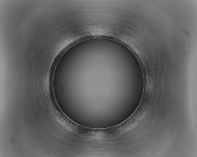 X0000112860391200908281608