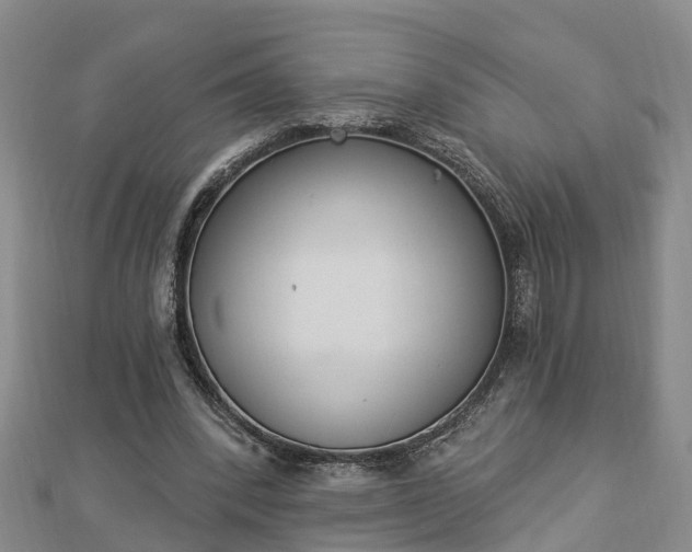 X0000112860392200908281608