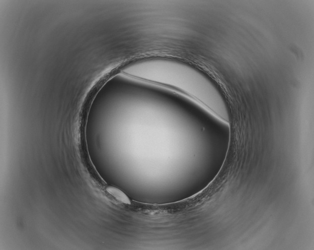 X0000112860395200908281608
