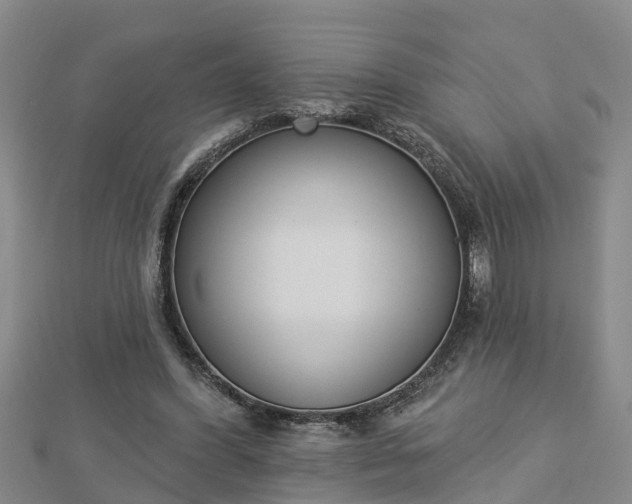 X0000112860396200908281608