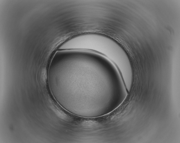 X0000112860397200908281608
