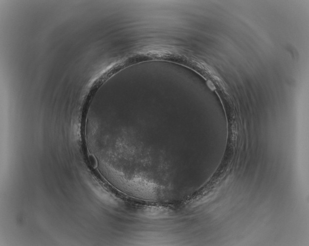X0000112860399200908281608