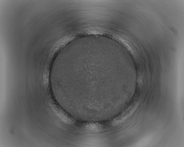 X0000112860402200908281608