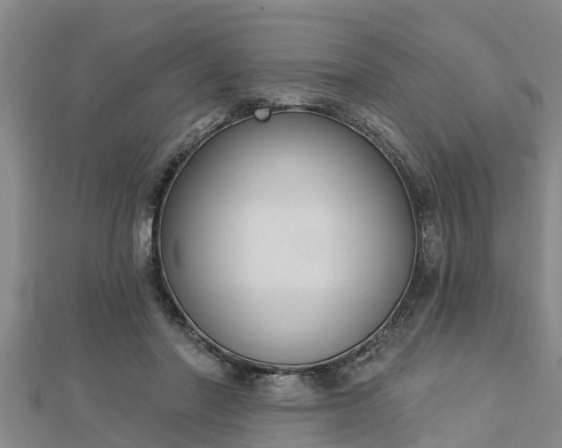 X0000112860406200908281608