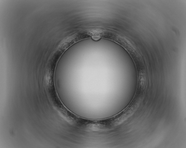 X0000112860408200908281608