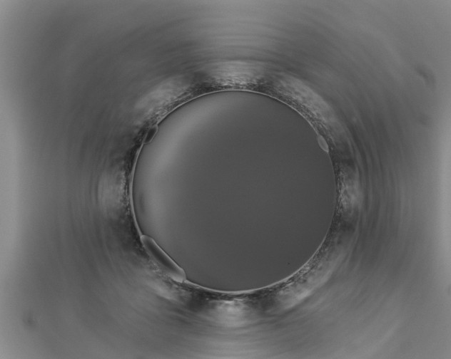 X0000112860411200908281608
