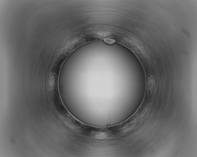X0000112860412200908281608