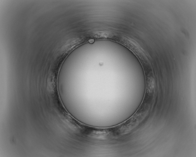 X0000112860414200908281608