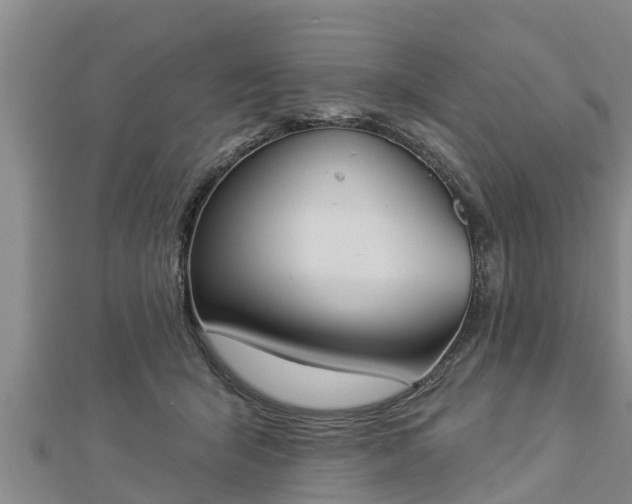 X0000112860415200908281608