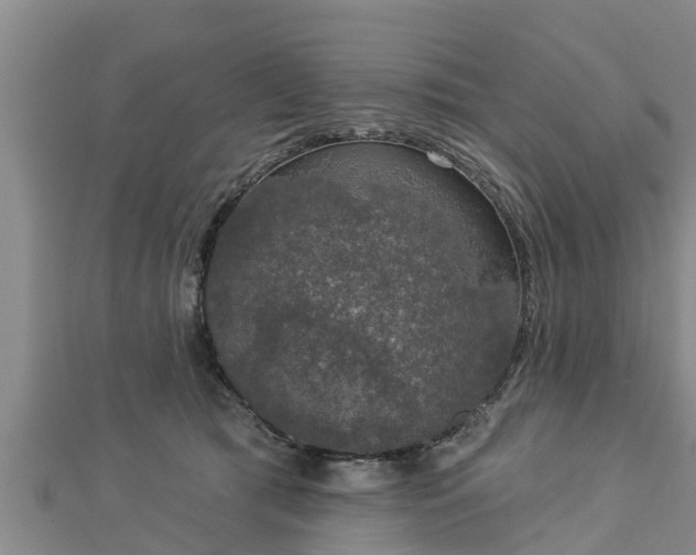X0000112860417200908281608