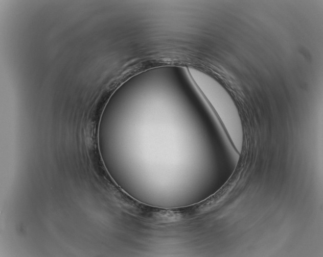 X0000112860421200908281608