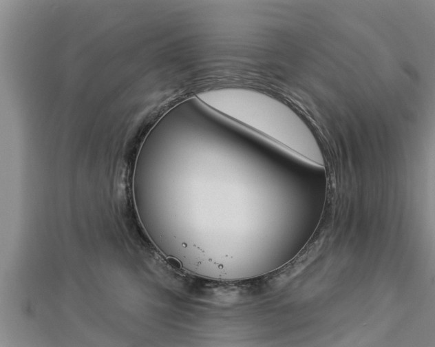 X0000112860423200908281608