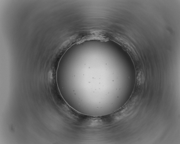 X0000112860424200908281608