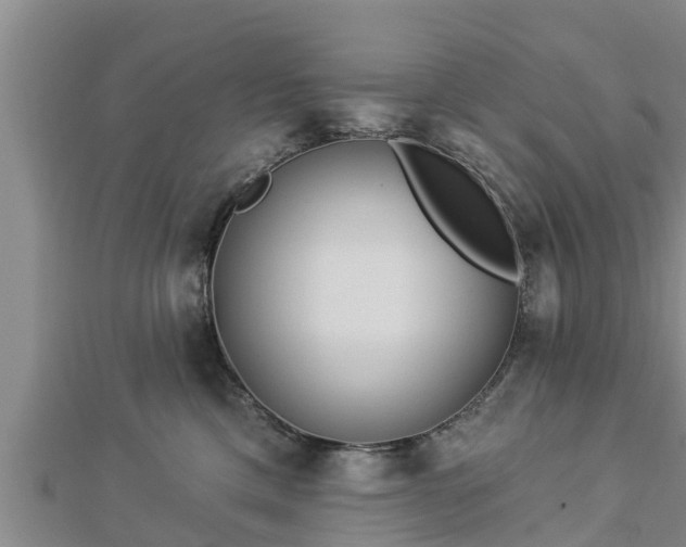 X0000112860425200908281608