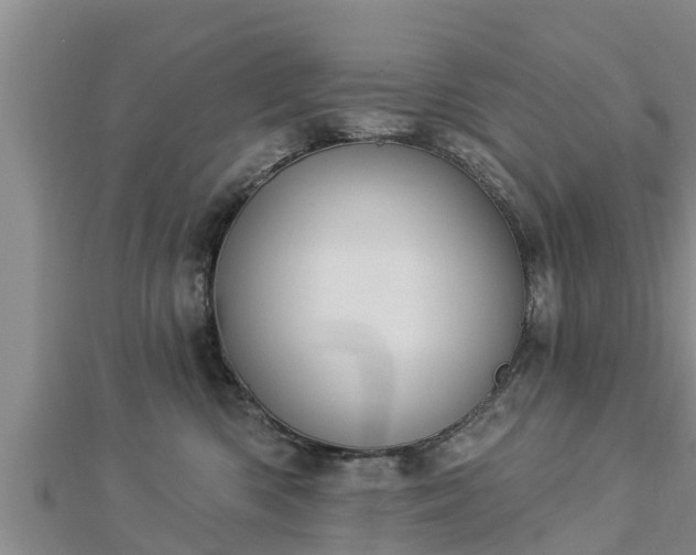 X0000112860426200908281608