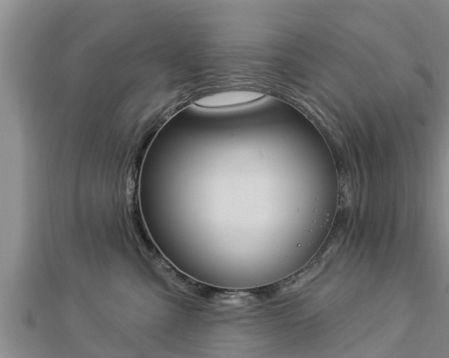 X0000112860427200908281608