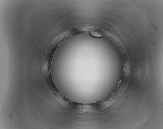 X0000112860428200908281608