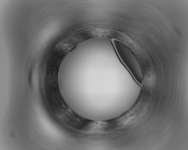 X0000112860429200908281608