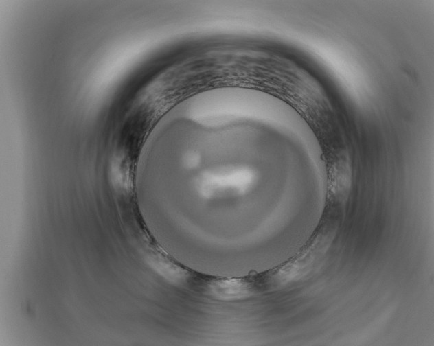X0000112860431200908281608