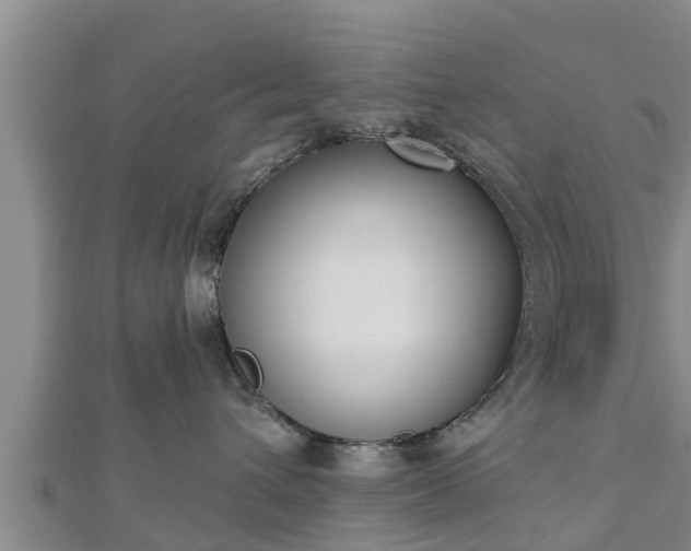 X0000112860432200908281608