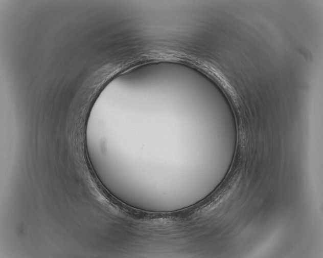 X0000112860433200908281607