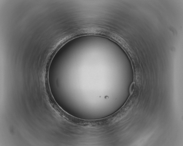 X0000112860434200908281607