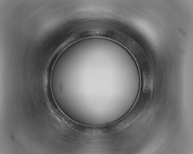 X0000112860435200908281607