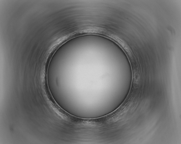 X0000112860437200908281607