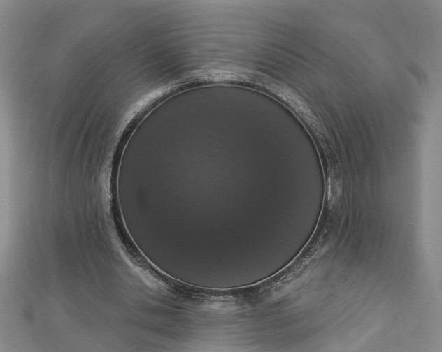 X0000112860438200908281607