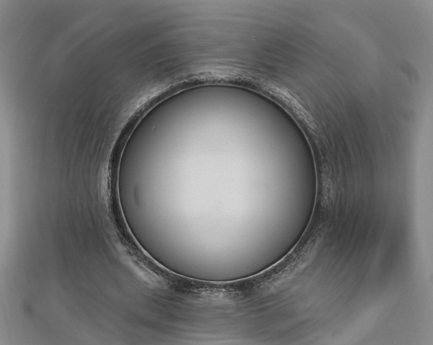 X0000112860439200908281607